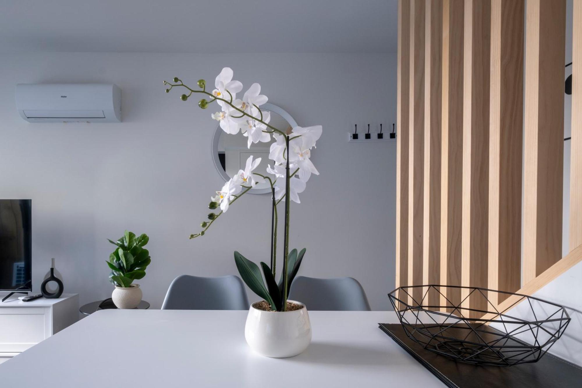 Luxury 2 Bed Townhome In Cbd Apartment Christchurch