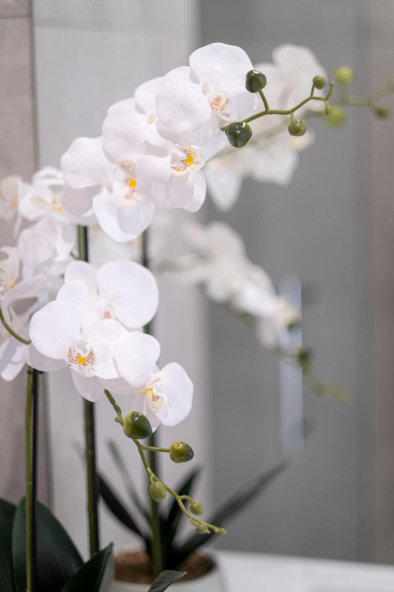 Luxury 2 Bed Townhome In Cbd Apartment *